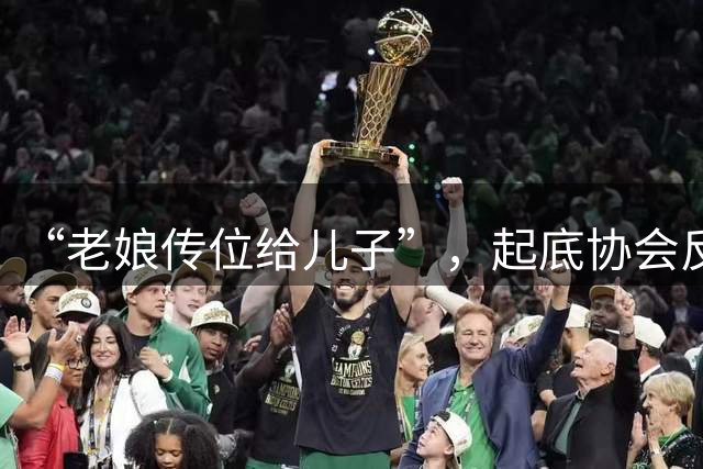 “老娘传位给儿子”，起底协会反腐第一案
